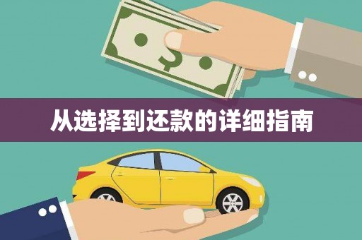 东明从选择到还款的详细指南