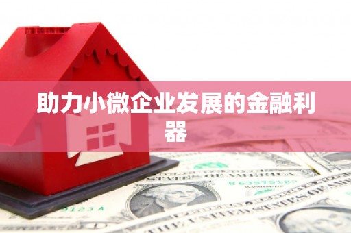 东明助力小微企业发展的金融利器