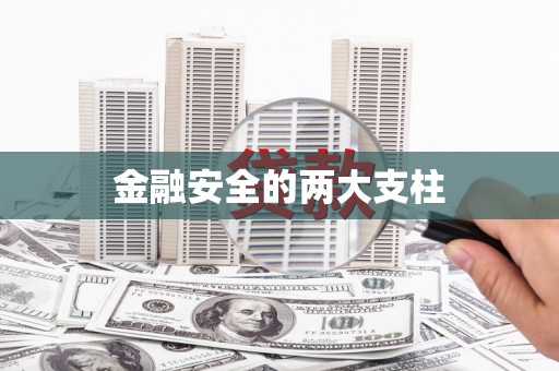东明金融安全的两大支柱