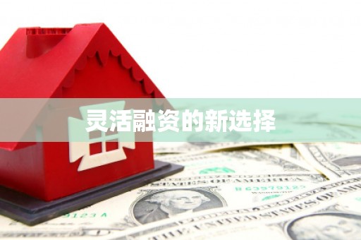 东明灵活融资的新选择