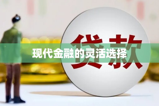 东明现代金融的灵活选择