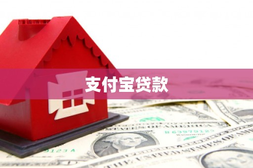 东明支付宝贷款