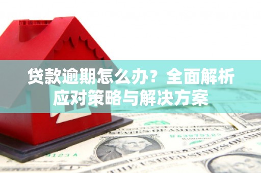 东明贷款逾期怎么办？全面解析应对策略与解决方案