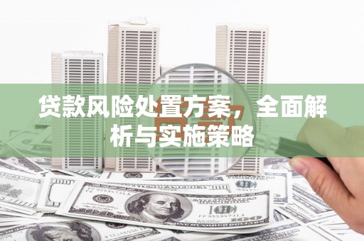东明贷款风险处置方案，全面解析与实施策略
