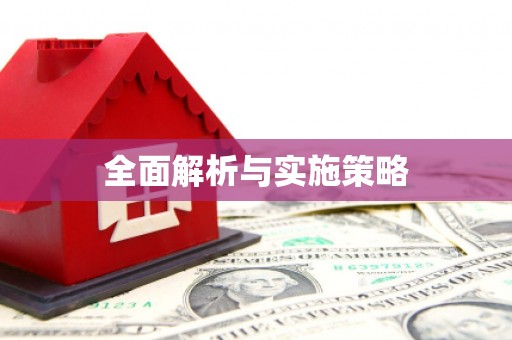 东明全面解析与实施策略