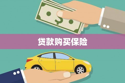 东明贷款购买保险