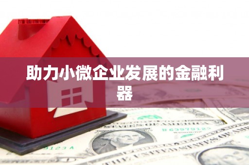 东明助力小微企业发展的金融利器