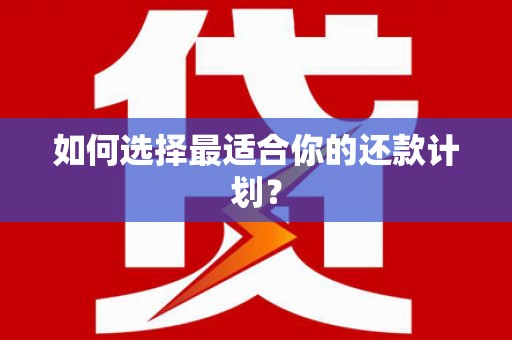 东明如何选择最适合你的还款计划？