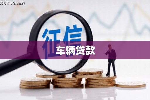 东明车辆贷款