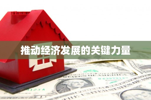 东明推动经济发展的关键力量