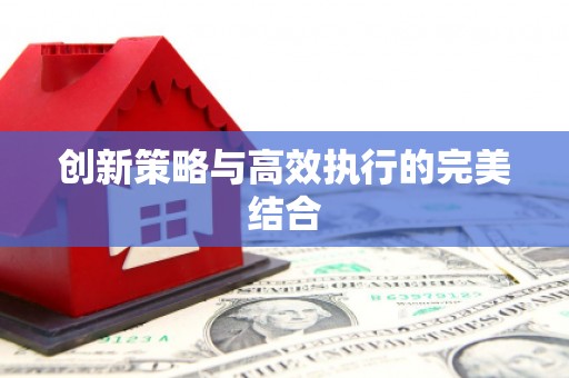 东明创新策略与高效执行的完美结合