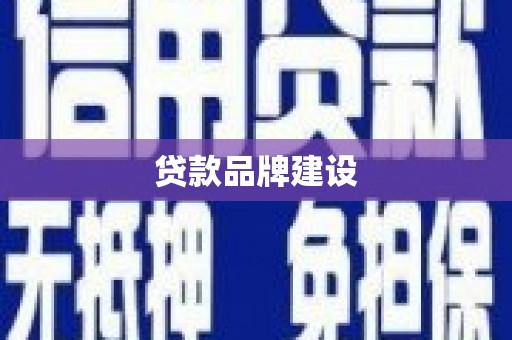东明贷款品牌建设