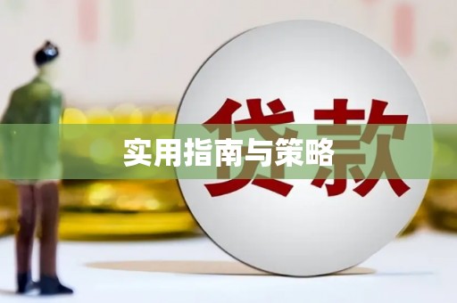 东明实用指南与策略