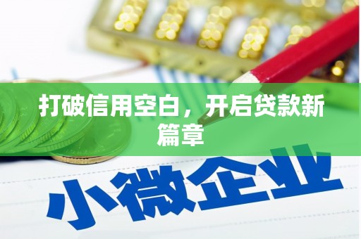 东明打破信用空白，开启贷款新篇章