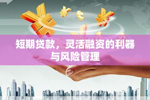 东明短期贷款，灵活融资的利器与风险管理