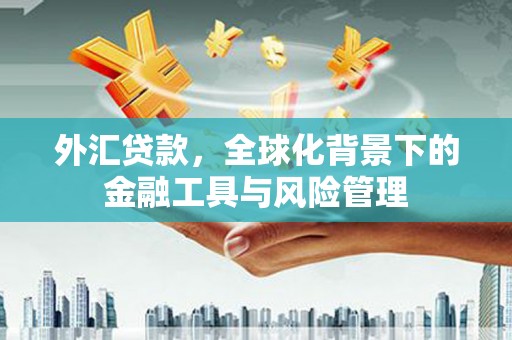 东明外汇贷款，全球化背景下的金融工具与风险管理